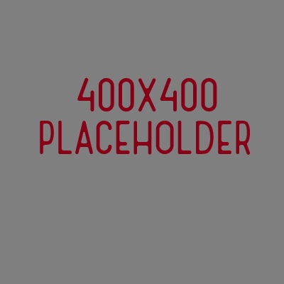 The Placeholder3000™